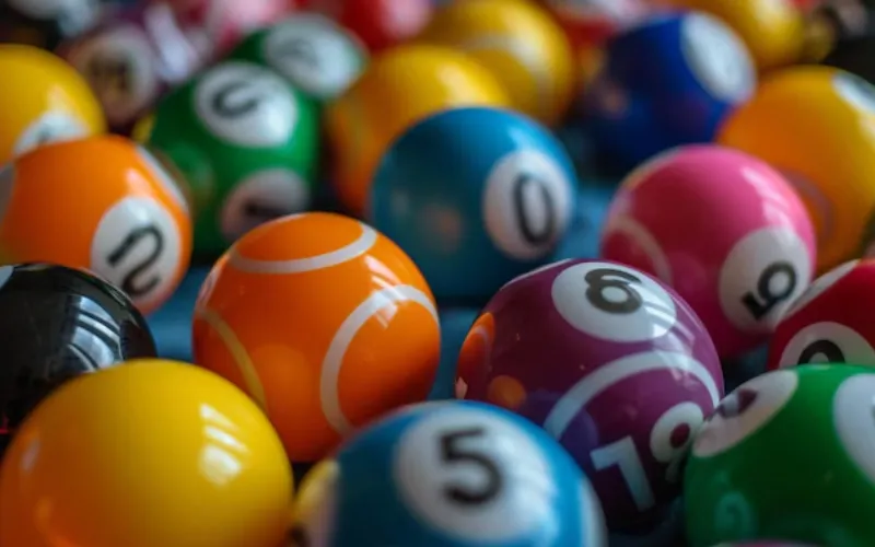 bingo 101