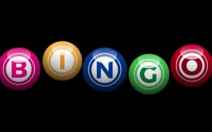 bingo 101
